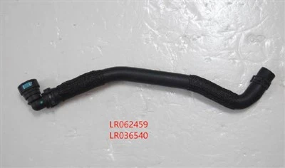LR062459